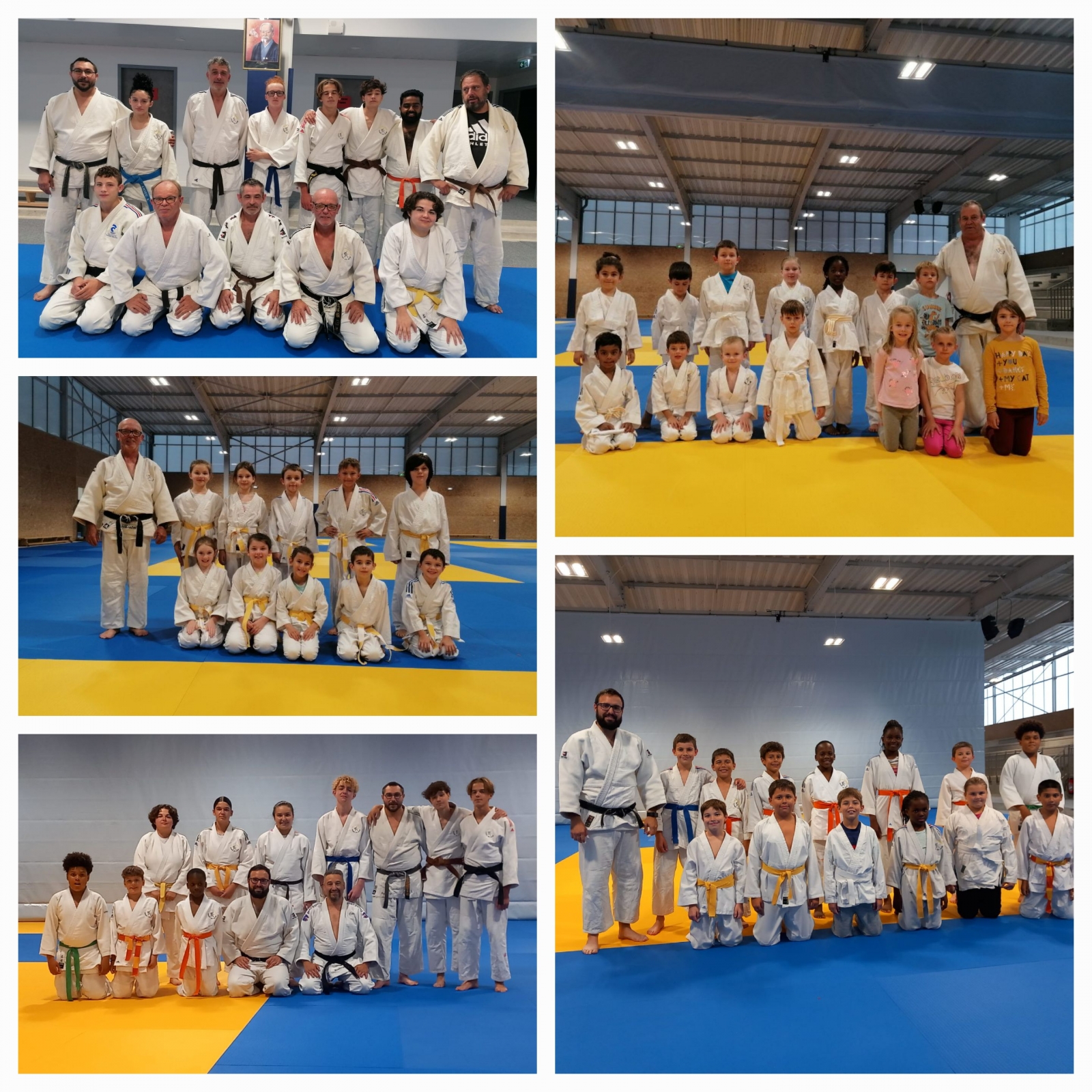 Cours Judo saison 2023/2024
