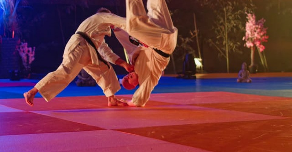 Festival Arts Martiaux 2026 - Mika et Denis