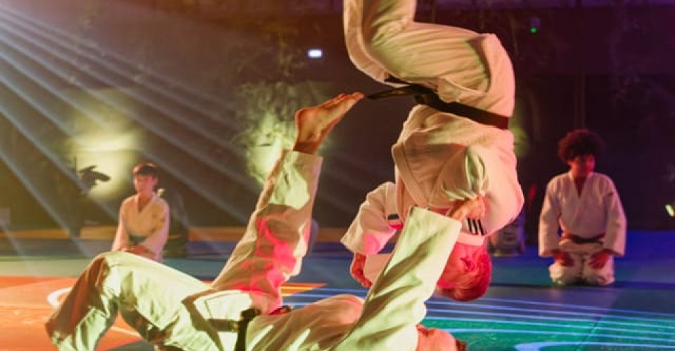 Festival Arts Martiaux 2026 - Guillaume et Mika